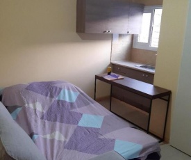 City Center Holiday room