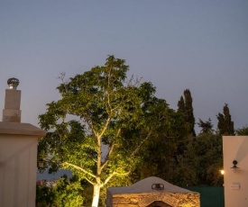 Droshia Traditional Homes