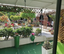 Entire Prefabricated Garden Room 1350m from beach