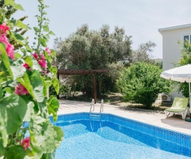 Five Greeks 4 Bedroom Villa in Paphos