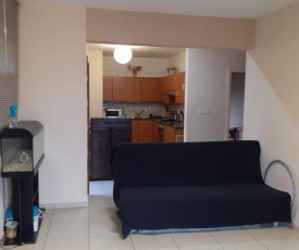 For rent 2 bedroom apart in the center of Nicosia