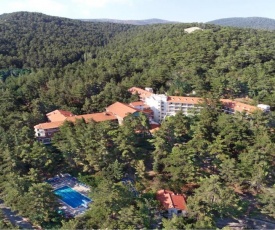 Forest Park Hotel