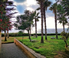King Alexander Villa 22
