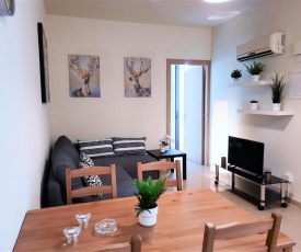 Albert's apartments