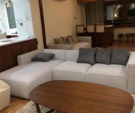 luxury 2 bed room apartment fully furnished