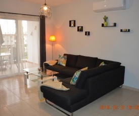 Luxury Apartment