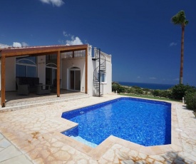 Luxury seafront villa with panoramic sea view & huge private pool