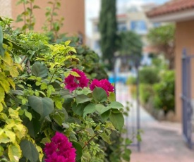 Magic apartment in the city of Paphos by the sea