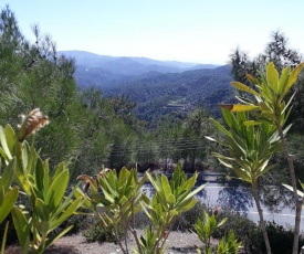 Maria's forest house