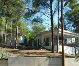 Moniatis Villa