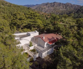 Nestor Hillside Moniatis House