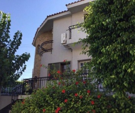 Nikola's House
