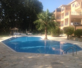 PARADISE GARDEN 4, KATO PAPHOS