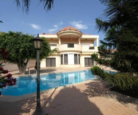 Patatas Villa