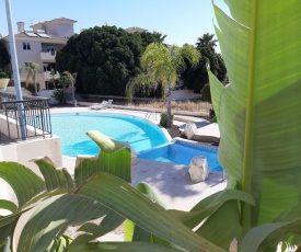 Penthouse Suite in Tersefanou