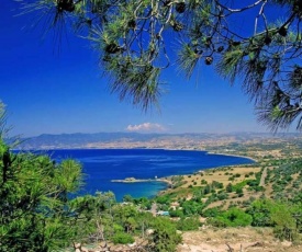 Rent Your Dream Holiday Villa in Paralimni and Look Forward to Relaxing Beside Your Private Pool, Paralimni Villa 1232