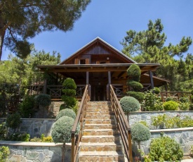 Ricky Chalet Near Troodos
