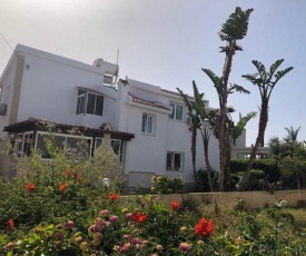Sea front villa