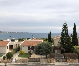 Seastar at Coral Bay Beach: Fantastic location !