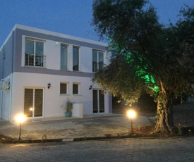 Suluca Homes