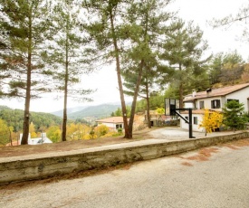 The Cosy Pine