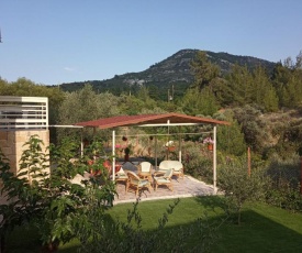 The River House