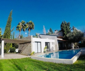 The Stone Villa