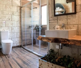 Vasiliou House