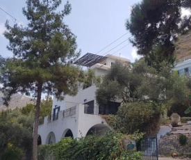 Villa Mimoza, Karmi Girne