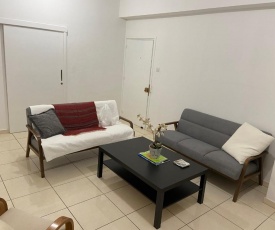 2 Bedroom apartment in Nicosia's center-11